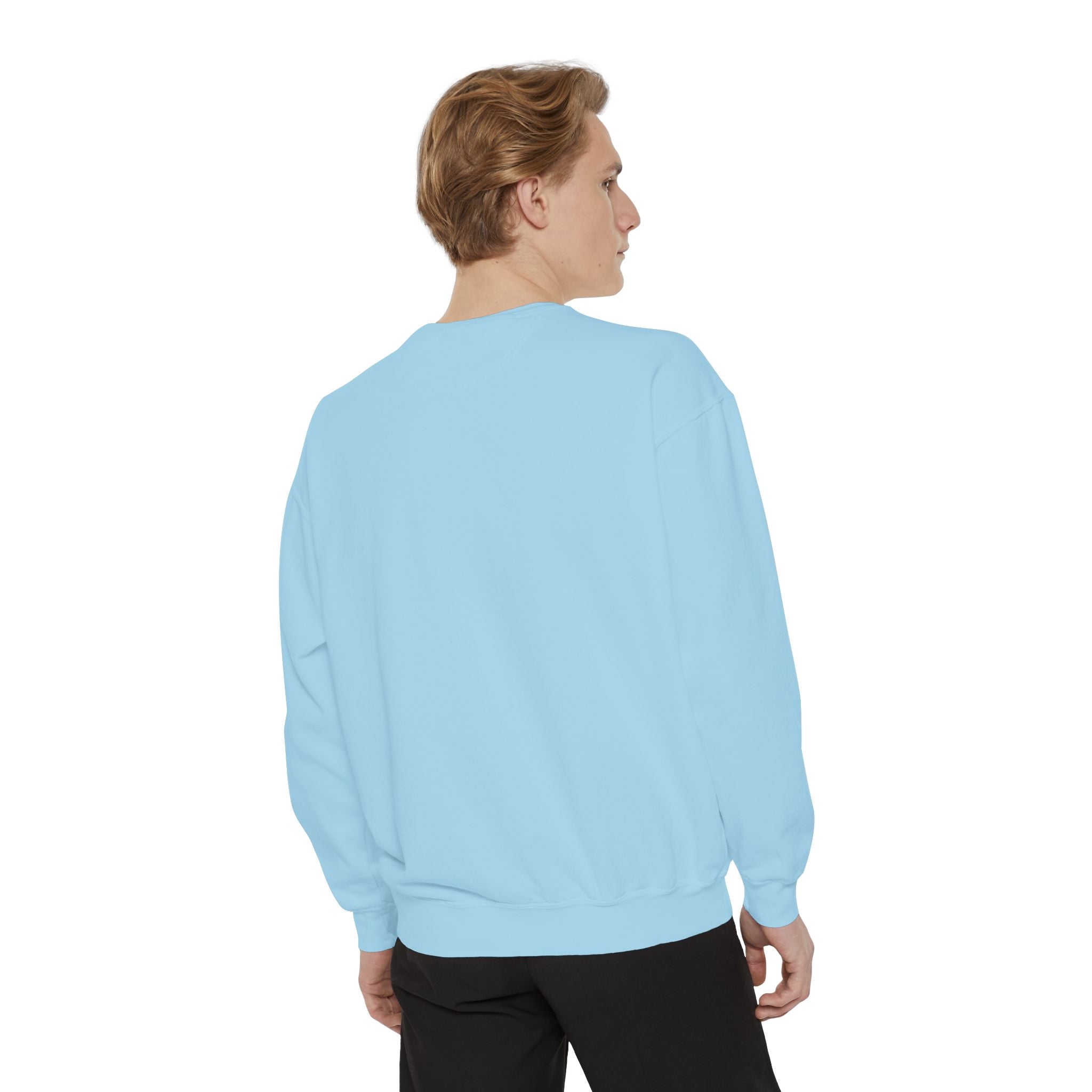 Babs WTV Distressed Logo Sweatshirt