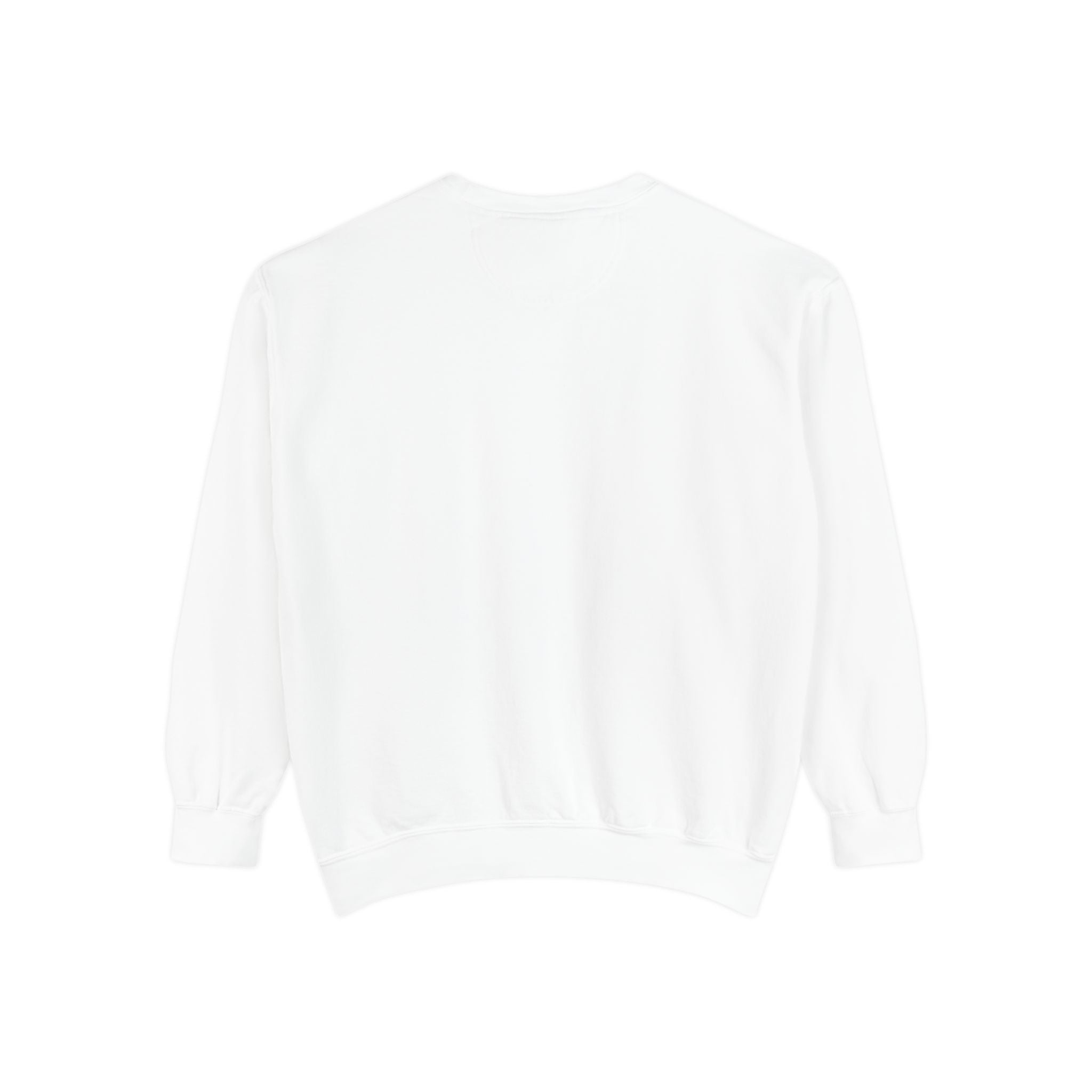 Babs WTV Distressed Logo Sweatshirt