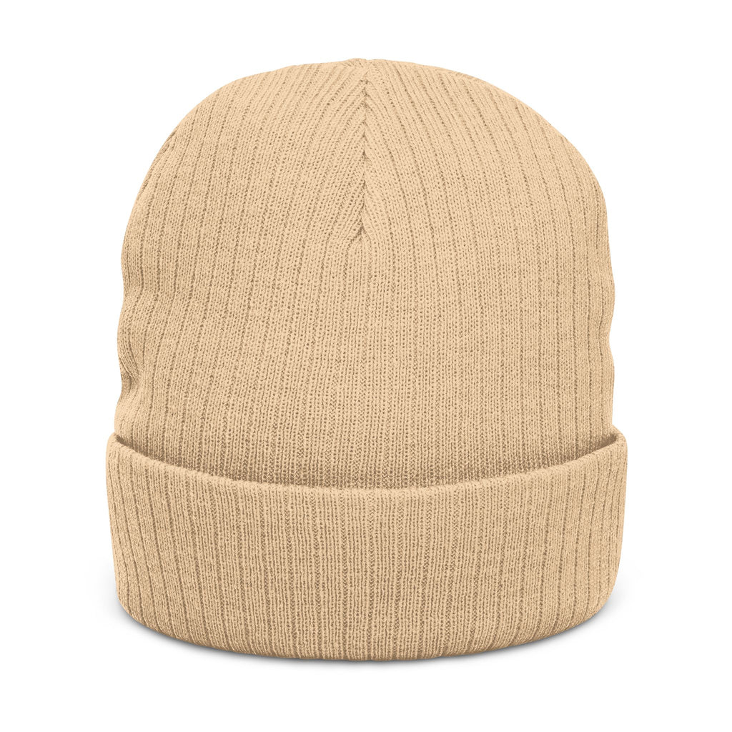 BABSWTV Shield Logo Ribbed Beanie