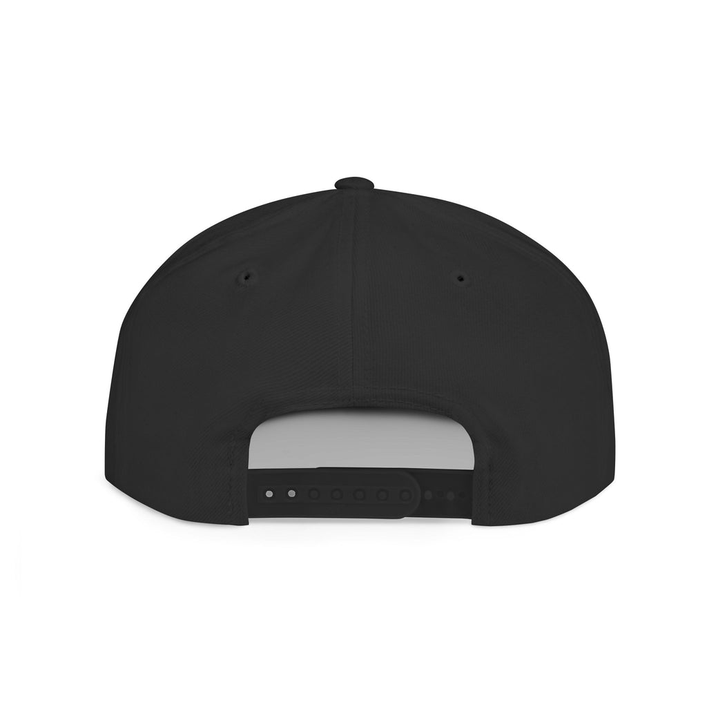 BABSWTV Shield Logo Snapback Hat