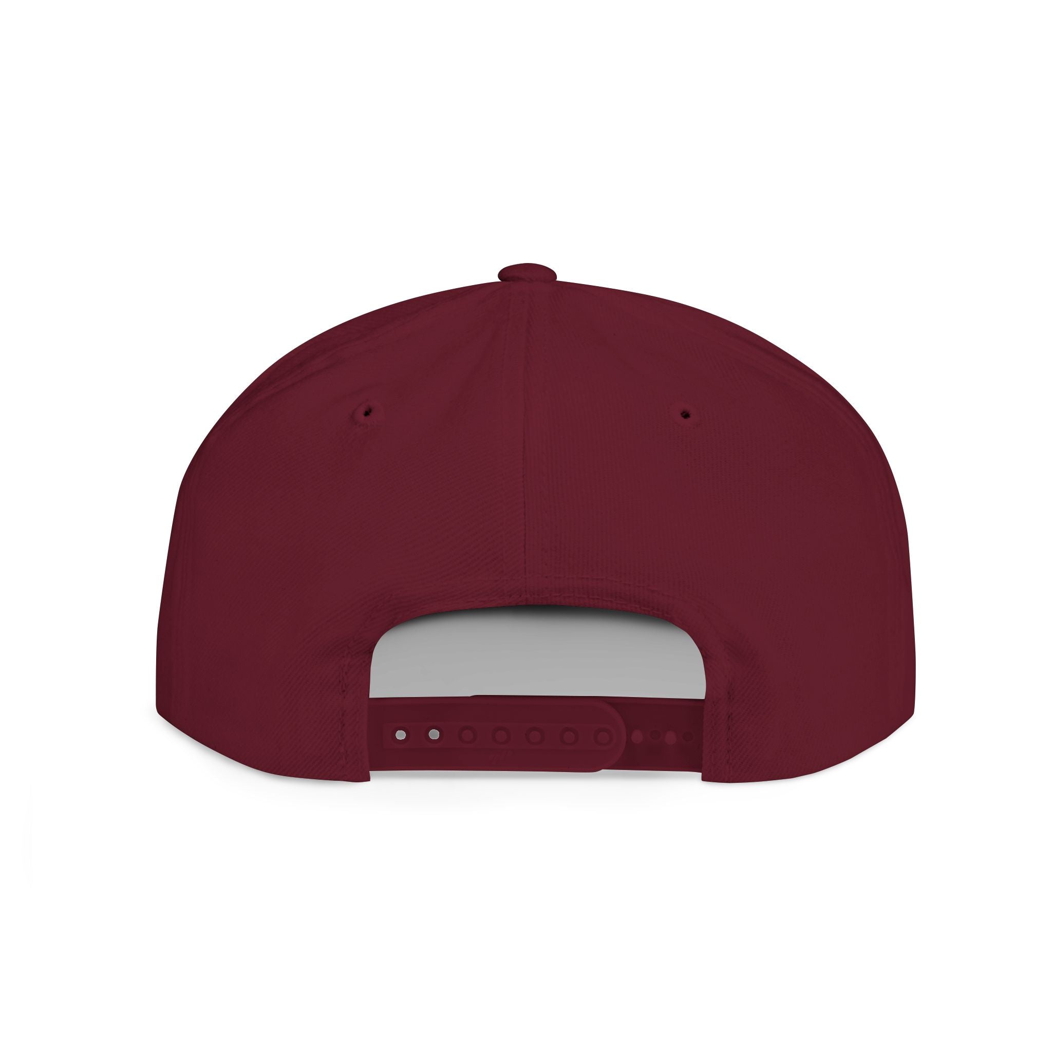 BABSWTV Shield Logo Snapback Hat