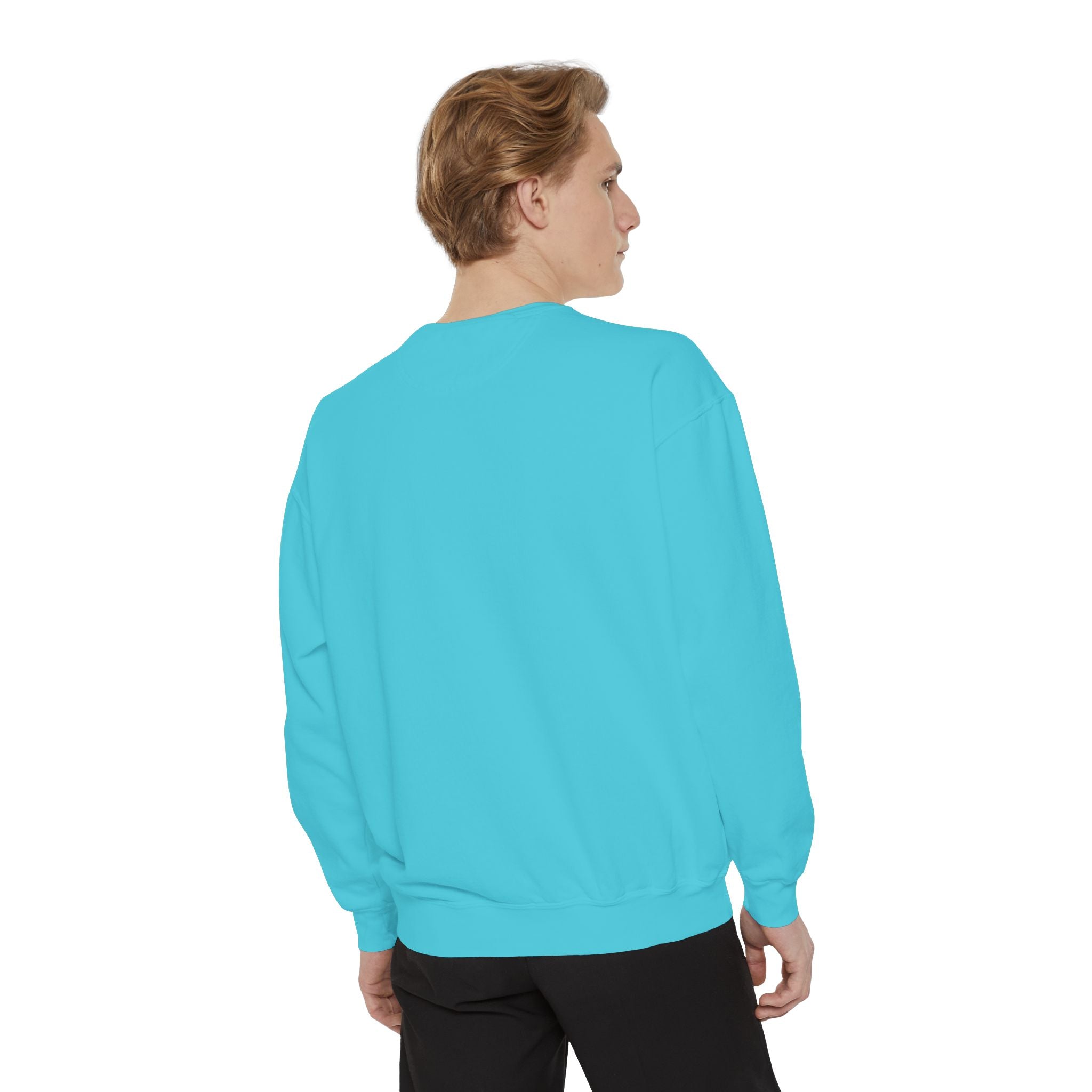 Babs WTV Distressed Logo Sweatshirt
