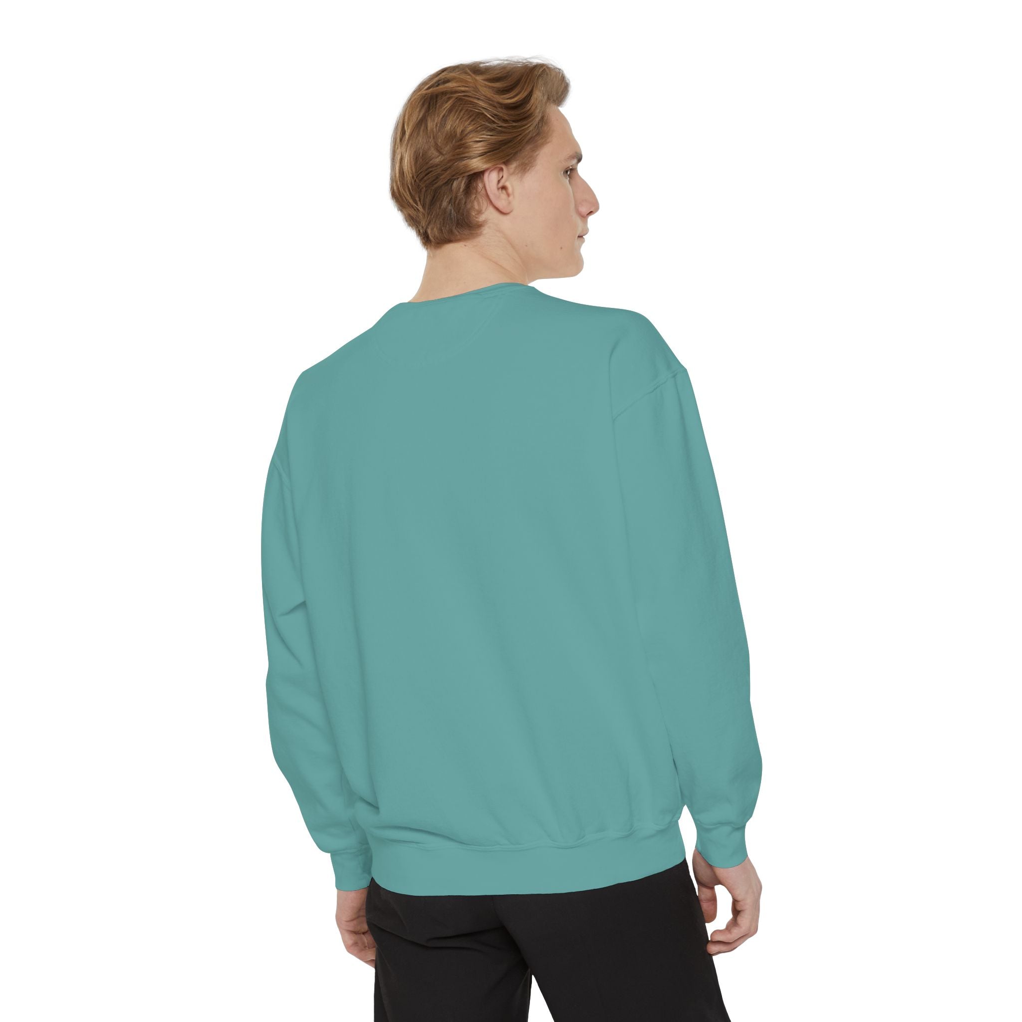 Babs WTV Distressed Logo Sweatshirt