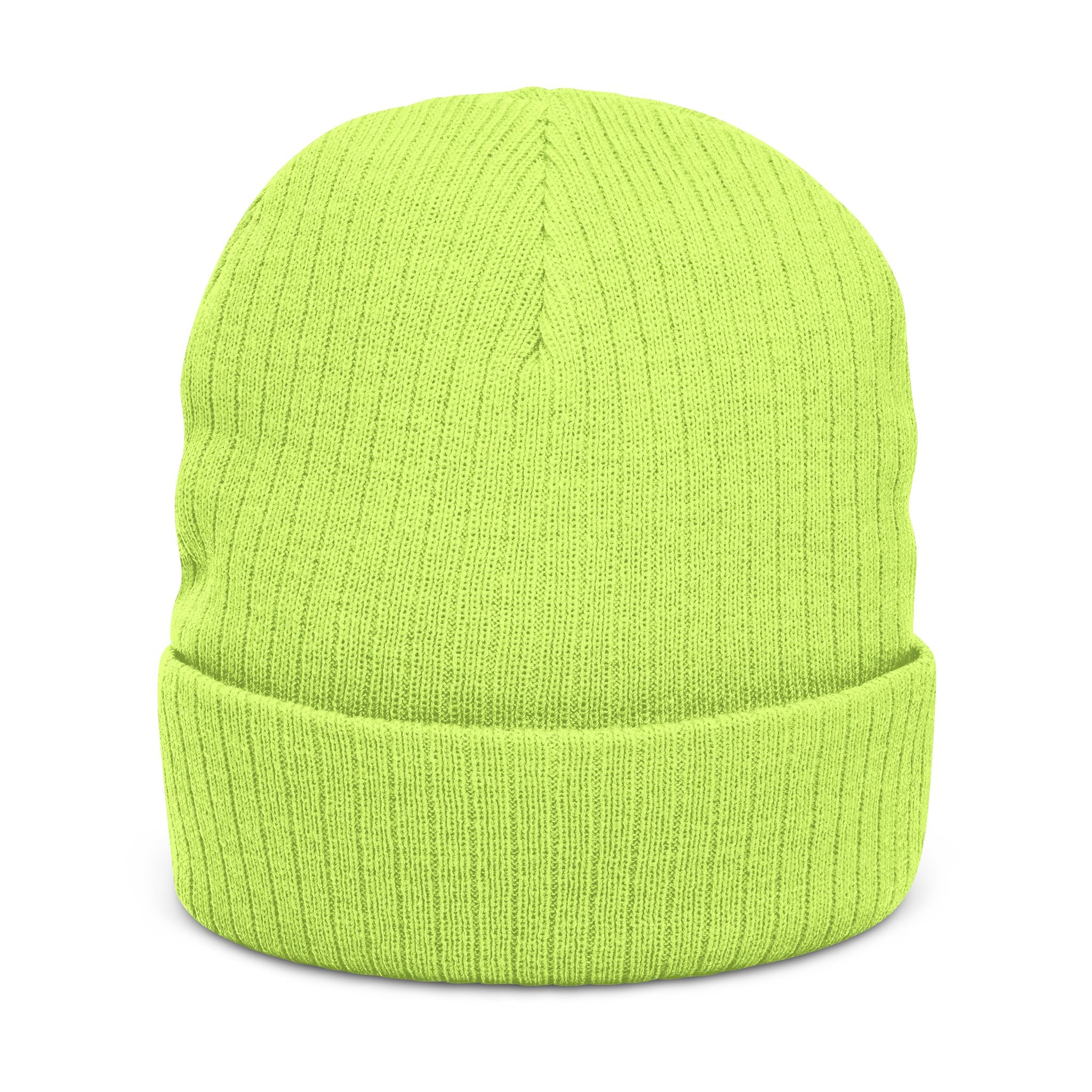BABSWTV Shield Logo Ribbed Beanie