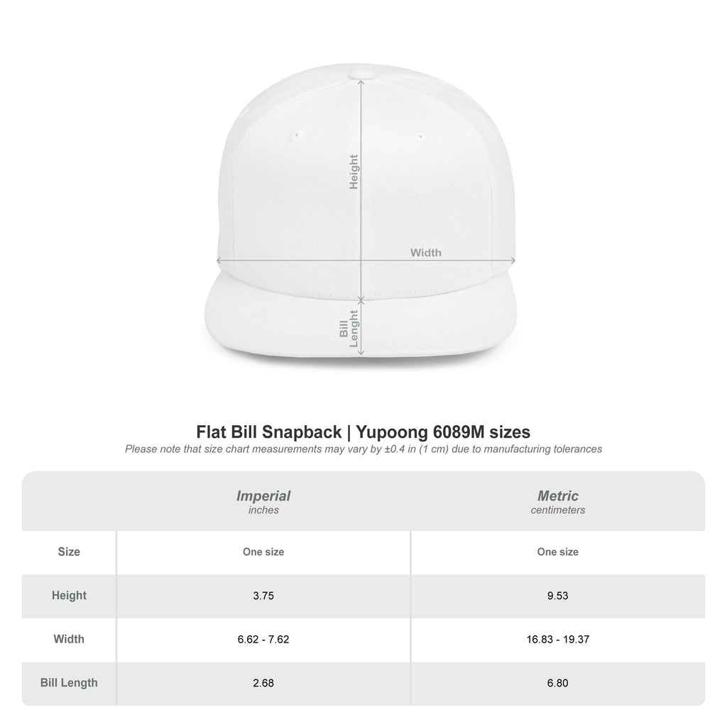 BABSWTV Shield Logo Snapback Hat