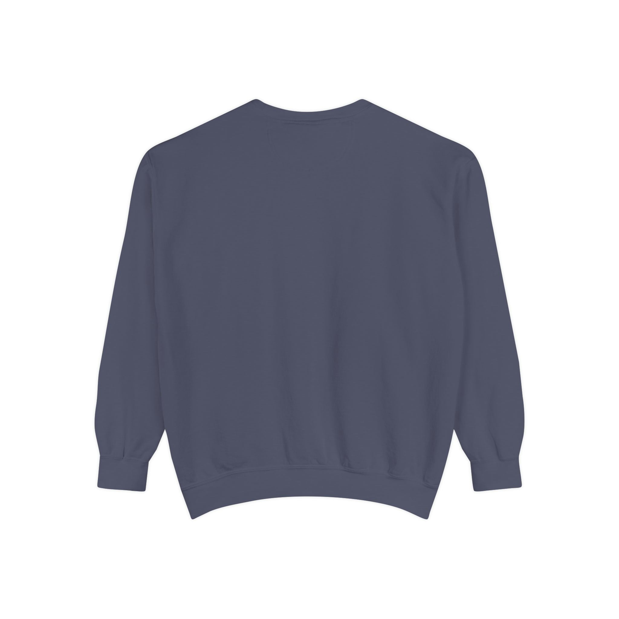 Babs WTV Distressed Logo Sweatshirt