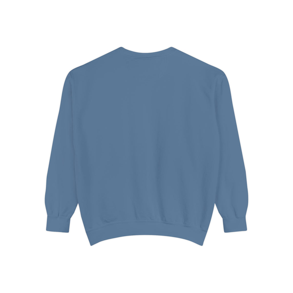 Babs WTV Distressed Logo Sweatshirt