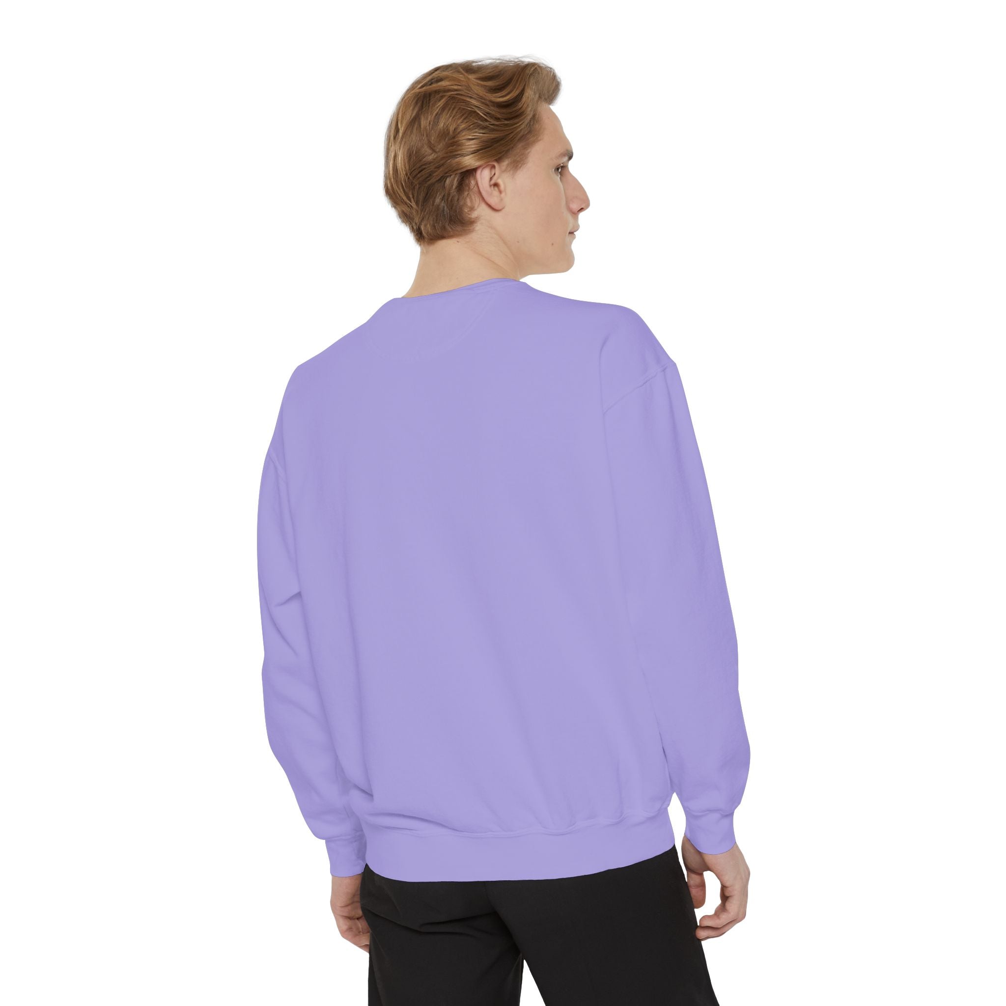 Babs WTV Distressed Logo Sweatshirt