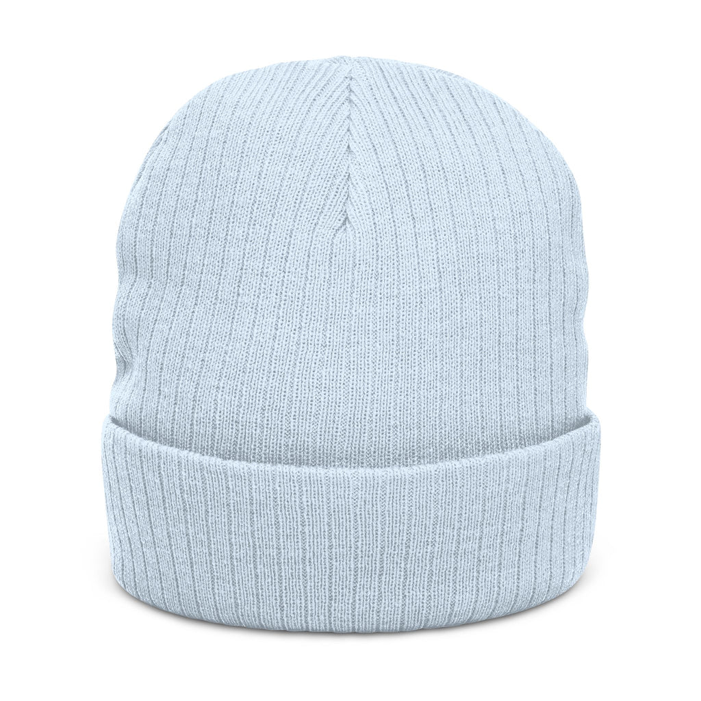 BABSWTV Shield Logo Ribbed Beanie