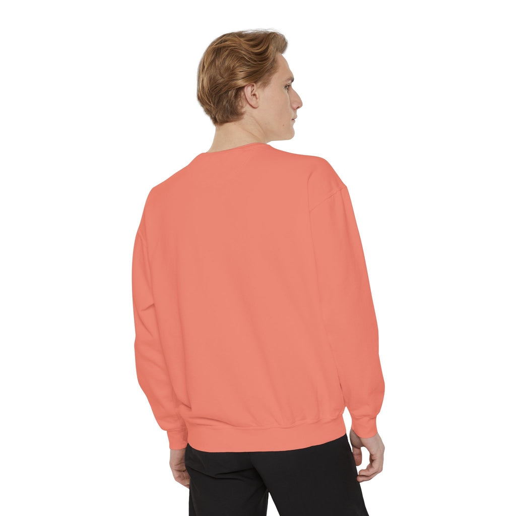 Babs WTV Distressed Logo Sweatshirt