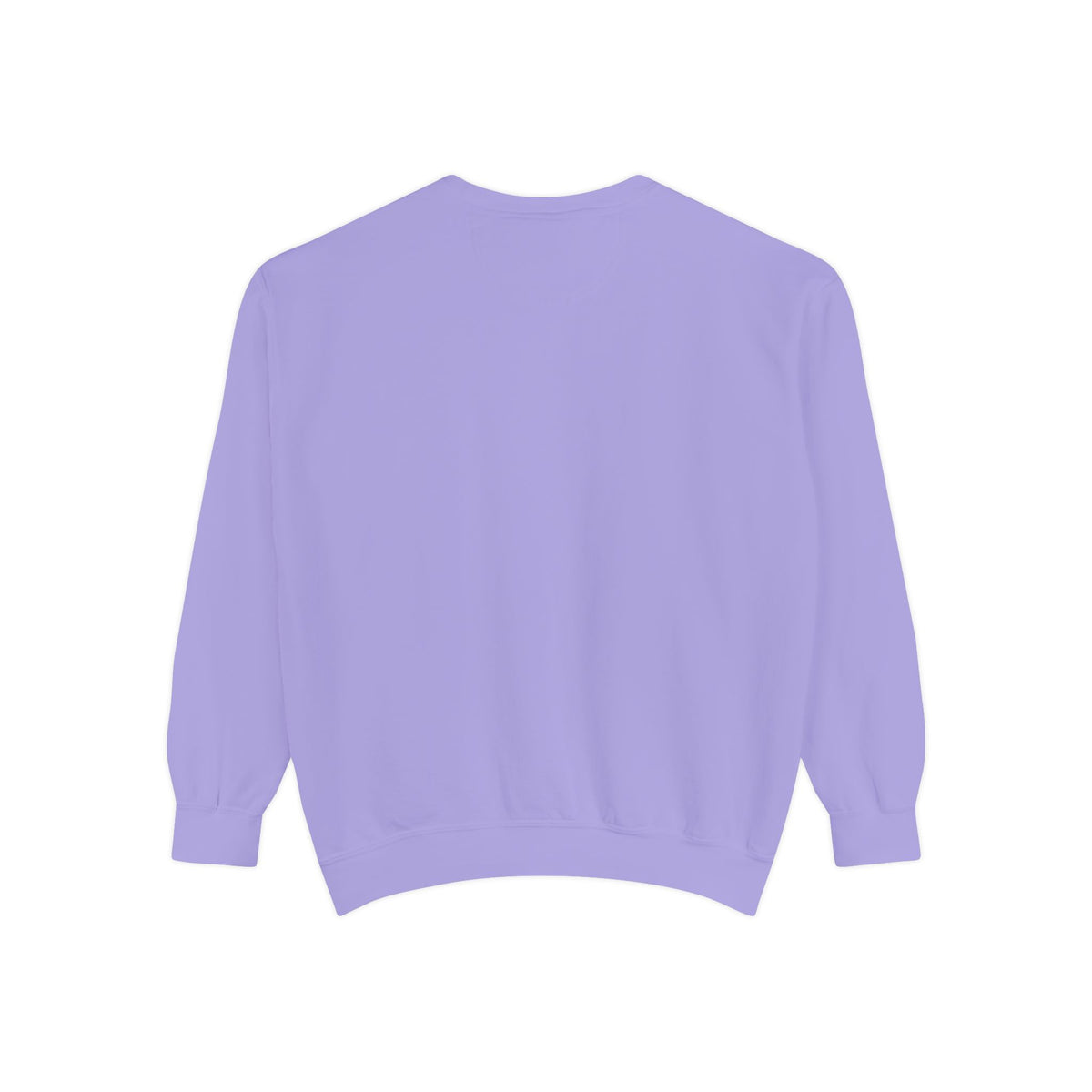 Babs WTV Distressed Logo Sweatshirt
