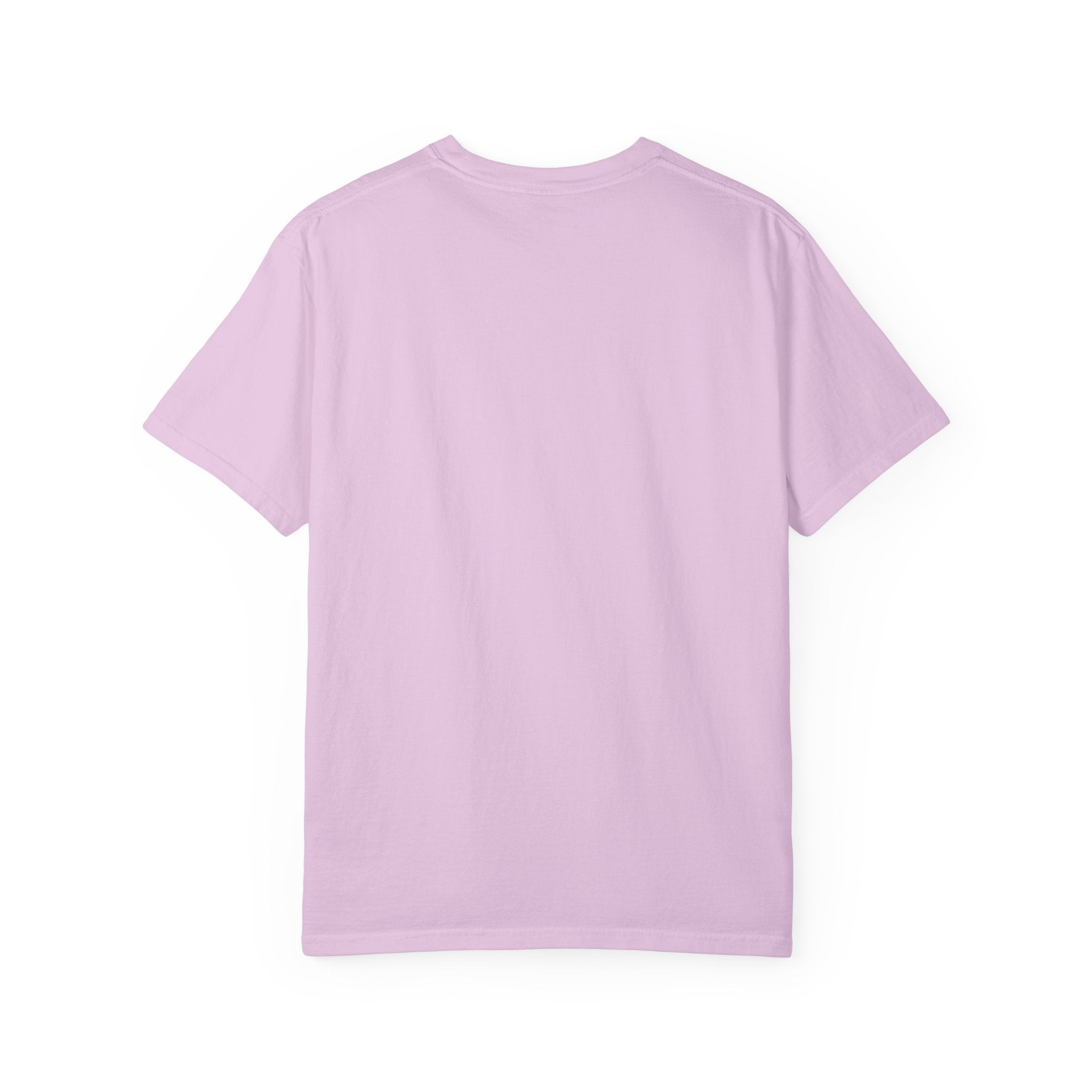BABSWTV Premium Garment-Dyed Logo T-Shirt