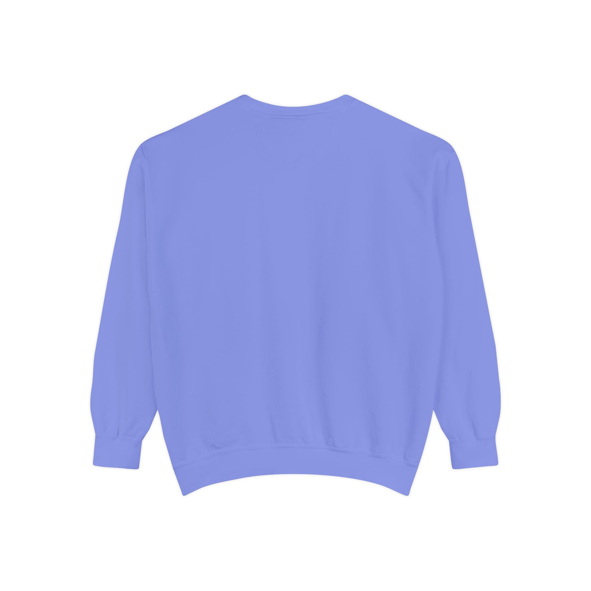 Babs WTV Distressed Logo Sweatshirt