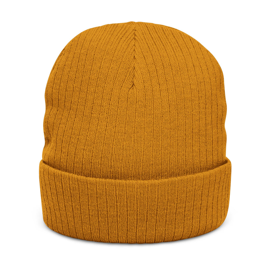 BABSWTV Shield Logo Ribbed Beanie