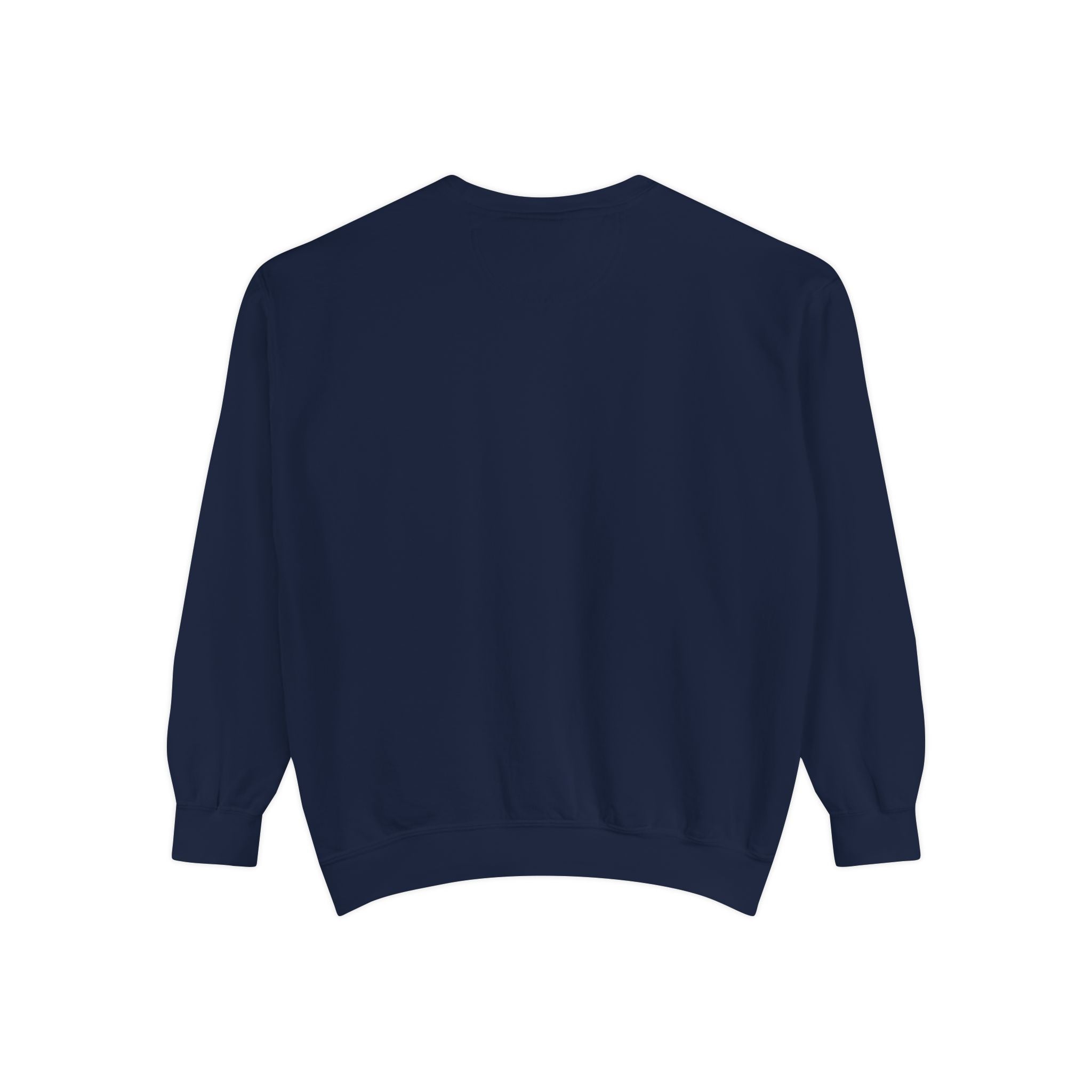 Babs WTV Distressed Logo Sweatshirt