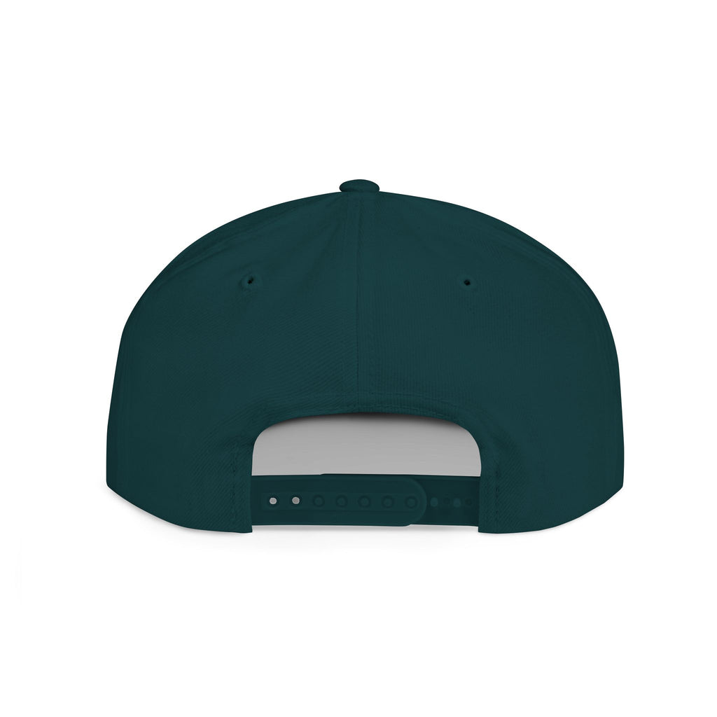 BABSWTV Shield Logo Snapback Hat