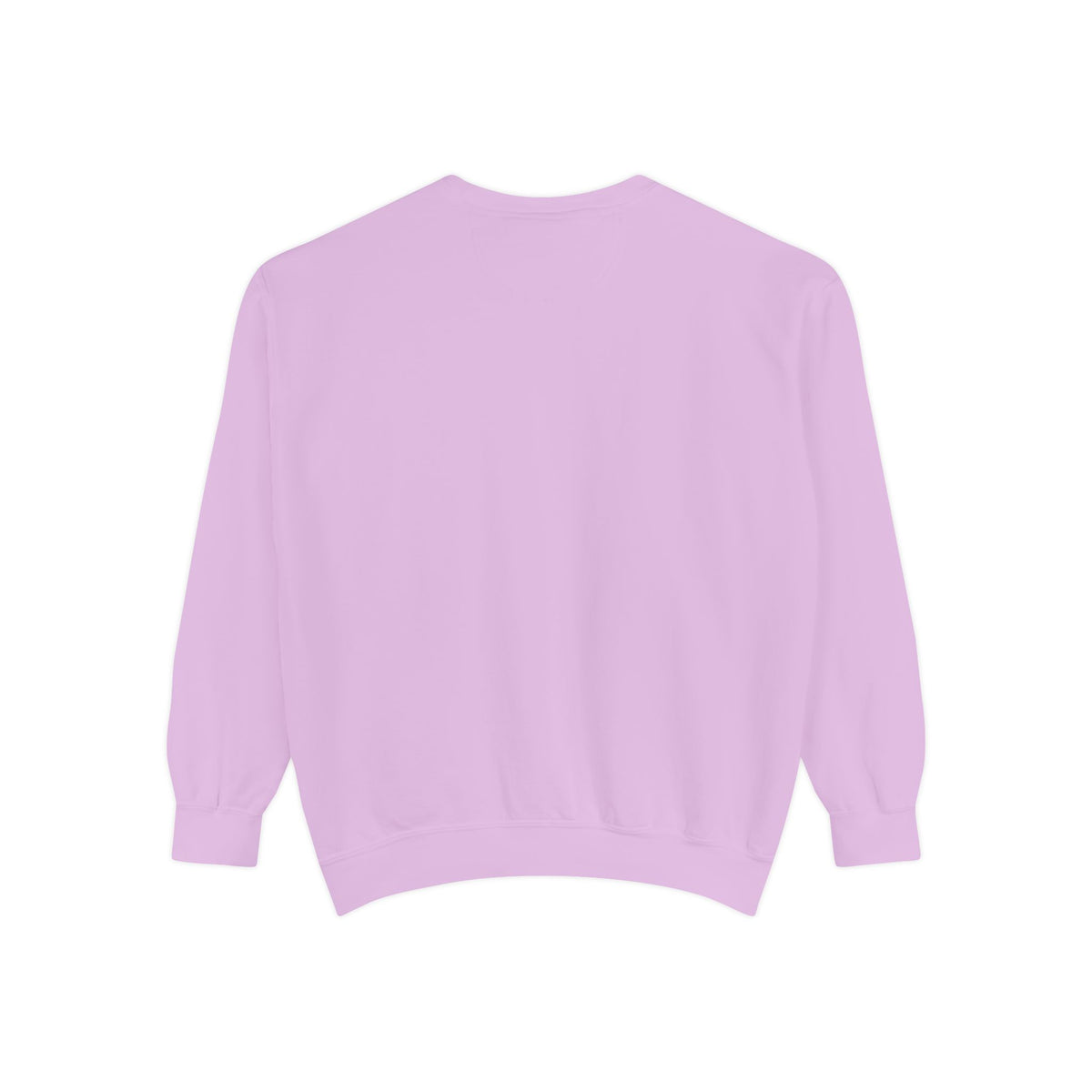 Babs WTV Distressed Logo Sweatshirt