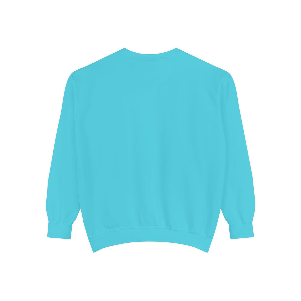 Babs WTV Distressed Logo Sweatshirt